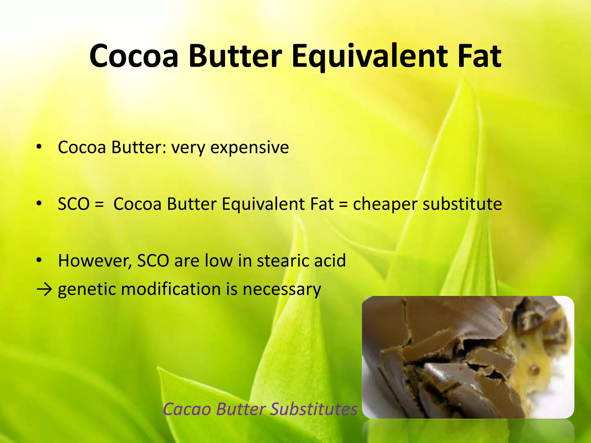 Cocoa Butter Equivalent Fat
• Cocoa Butter: very expensive
• SCO = Cocoa Butter Equivalent Fat = cheaper substitute
• However, SCO are low in stearic acid
→ genetic modification is necessary
Cacao Butter Substitutes
 