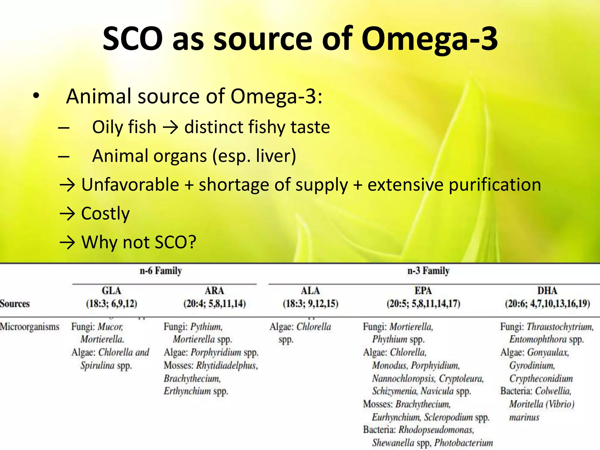 SCO as source of Omega-3
• Animal source of Omega-3:
– Oily fish → distinct fishy taste
– Animal organs (esp. liver)
→ Unfavorable + shortage of supply + extensive purification
→ Costly
→ Why not SCO?
 