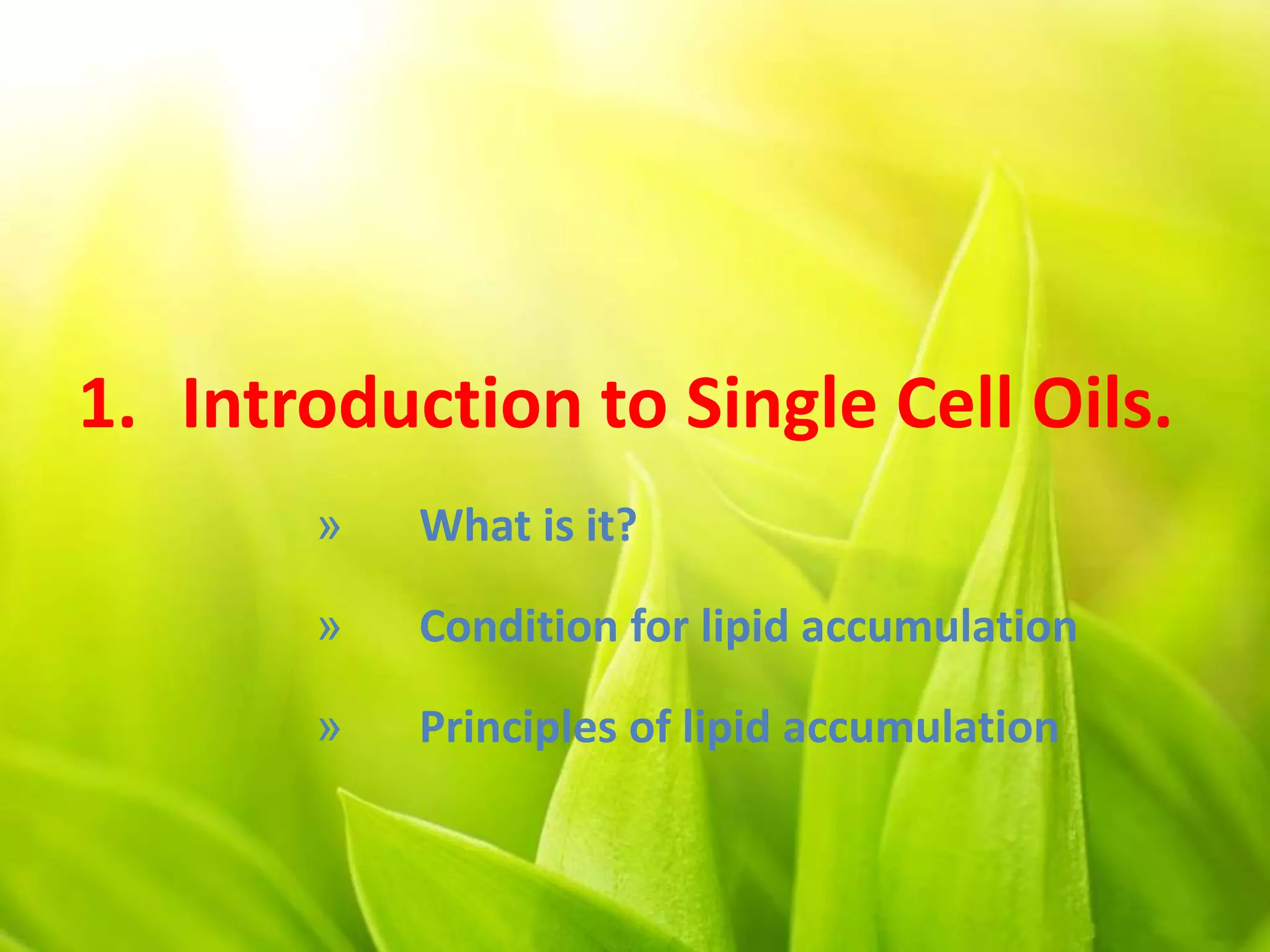 1. Introduction to Single Cell Oils.
» What is it?
» Condition for lipid accumulation
» Principles of lipid accumulation
 