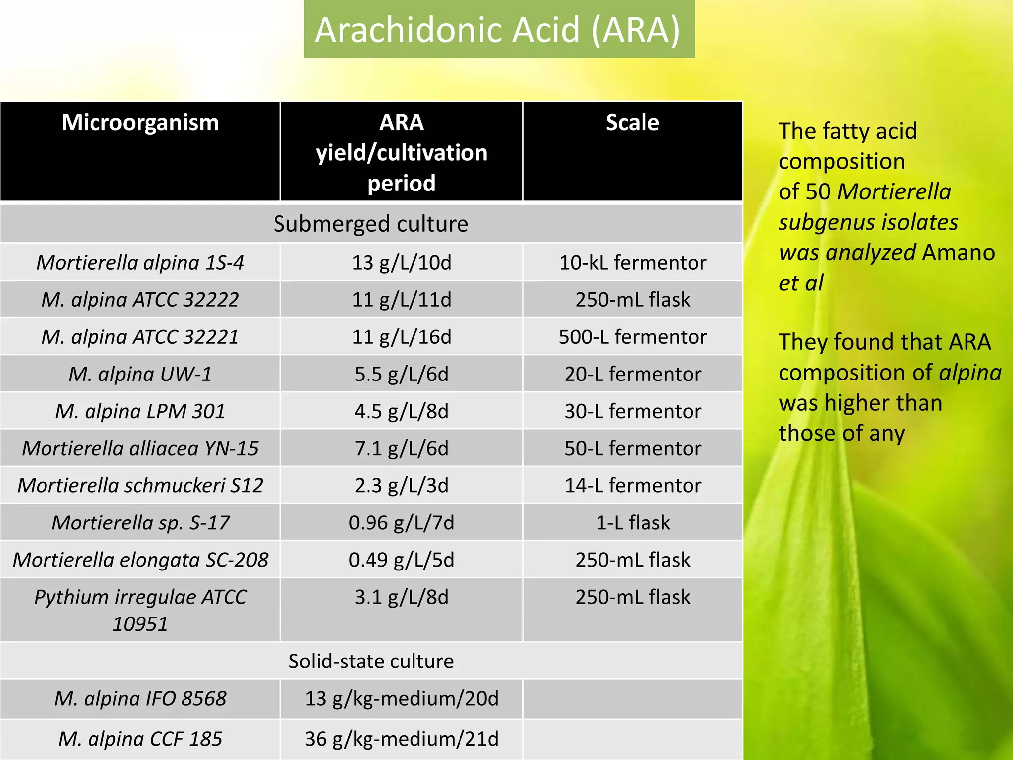 Microorganism ARA
yield/cultivation
period
Scale
Submerged culture
Mortierella alpina 1S-4 13 g/L/10d 10-kL fermentor
M. alpina ATCC 32222 11 g/L/11d 250-mL flask
M. alpina ATCC 32221 11 g/L/16d 500-L fermentor
M. alpina UW-1 5.5 g/L/6d 20-L fermentor
M. alpina LPM 301 4.5 g/L/8d 30-L fermentor
Mortierella alliacea YN-15 7.1 g/L/6d 50-L fermentor
Mortierella schmuckeri S12 2.3 g/L/3d 14-L fermentor
Mortierella sp. S-17 0.96 g/L/7d 1-L flask
Mortierella elongata SC-208 0.49 g/L/5d 250-mL flask
Pythium irregulae ATCC
10951
3.1 g/L/8d 250-mL flask
Solid-state culture
M. alpina IFO 8568 13 g/kg-medium/20d
M. alpina CCF 185 36 g/kg-medium/21d
Arachidonic Acid (ARA)
The fatty acid
composition
of 50 Mortierella
subgenus isolates
was analyzed Amano
et al
They found that ARA
composition of alpina
was higher than
those of any
 