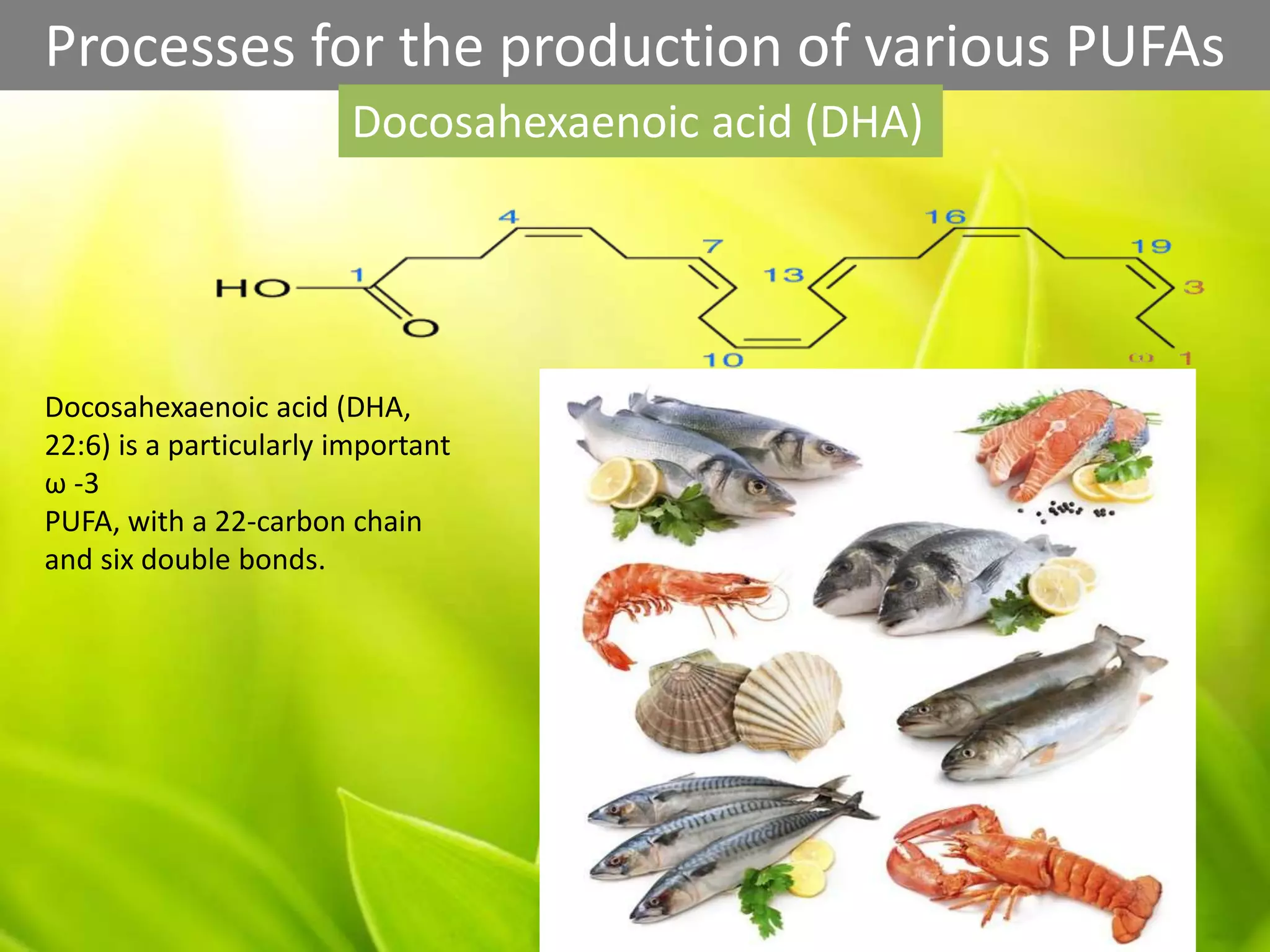 Processes for the production of various PUFAs
Docosahexaenoic acid (DHA)
Docosahexaenoic acid (DHA,
22:6) is a particularly important
ω ‐3
PUFA, with a 22‐carbon chain
and six double bonds.
 