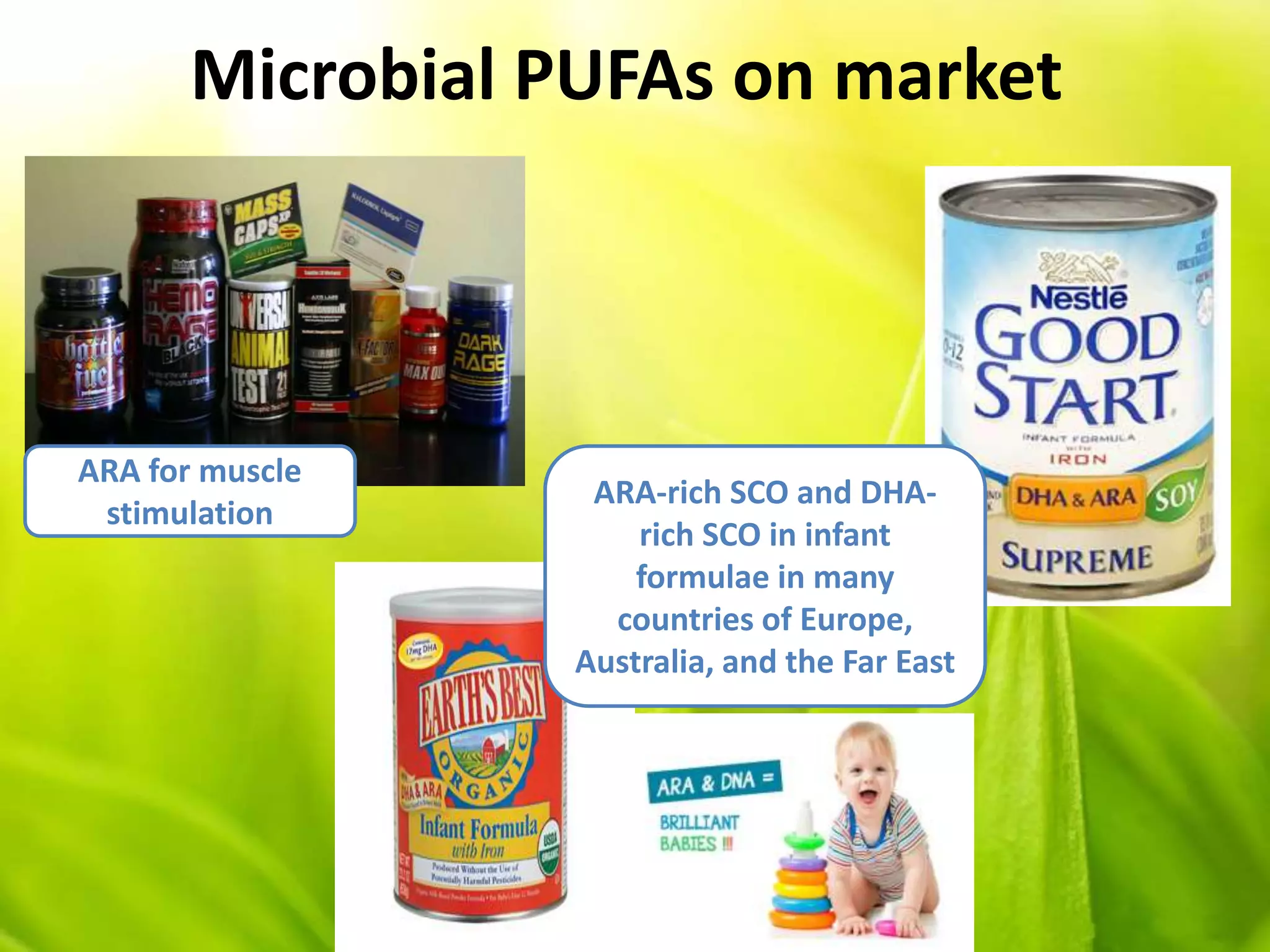 Microbial PUFAs on market
ARA for muscle
stimulation
ARA-rich SCO and DHA-
rich SCO in infant
formulae in many
countries of Europe,
Australia, and the Far East
 