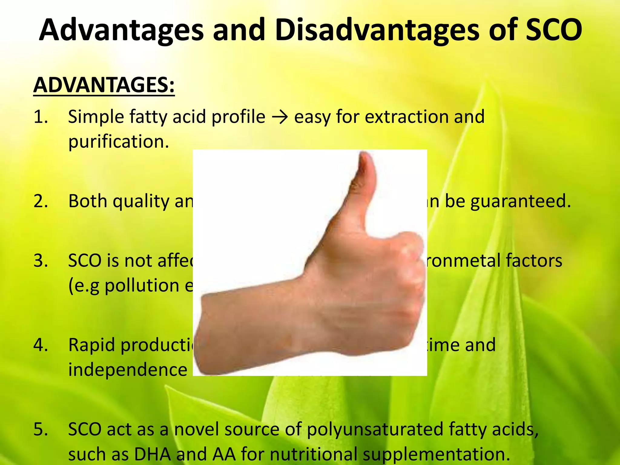 Advantages and Disadvantages of SCO
ADVANTAGES:
1. Simple fatty acid profile → easy for extraction and
purification.
2. Both quality and quantity of the product can be guaranteed.
3. SCO is not affected by geographical or environmetal factors
(e.g pollution etc.)
4. Rapid production: increase cells in a short time and
independence from climatic conditions.
5. SCO act as a novel source of polyunsaturated fatty acids,
such as DHA and AA for nutritional supplementation.
 