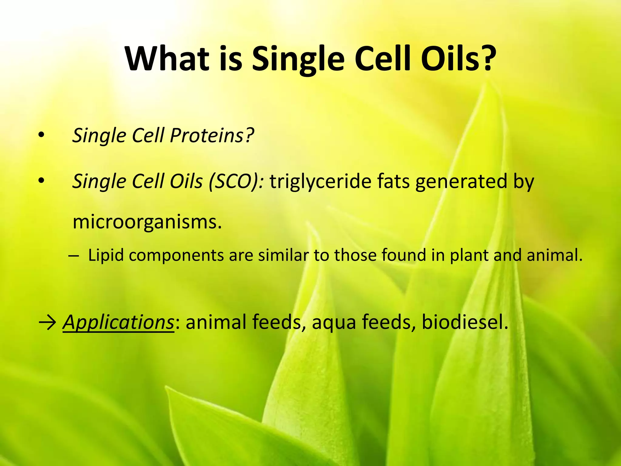 • Single Cell Proteins?
• Single Cell Oils (SCO): triglyceride fats generated by
microorganisms.
– Lipid components are similar to those found in plant and animal.
→ Applications: animal feeds, aqua feeds, biodiesel.
What is Single Cell Oils?
 