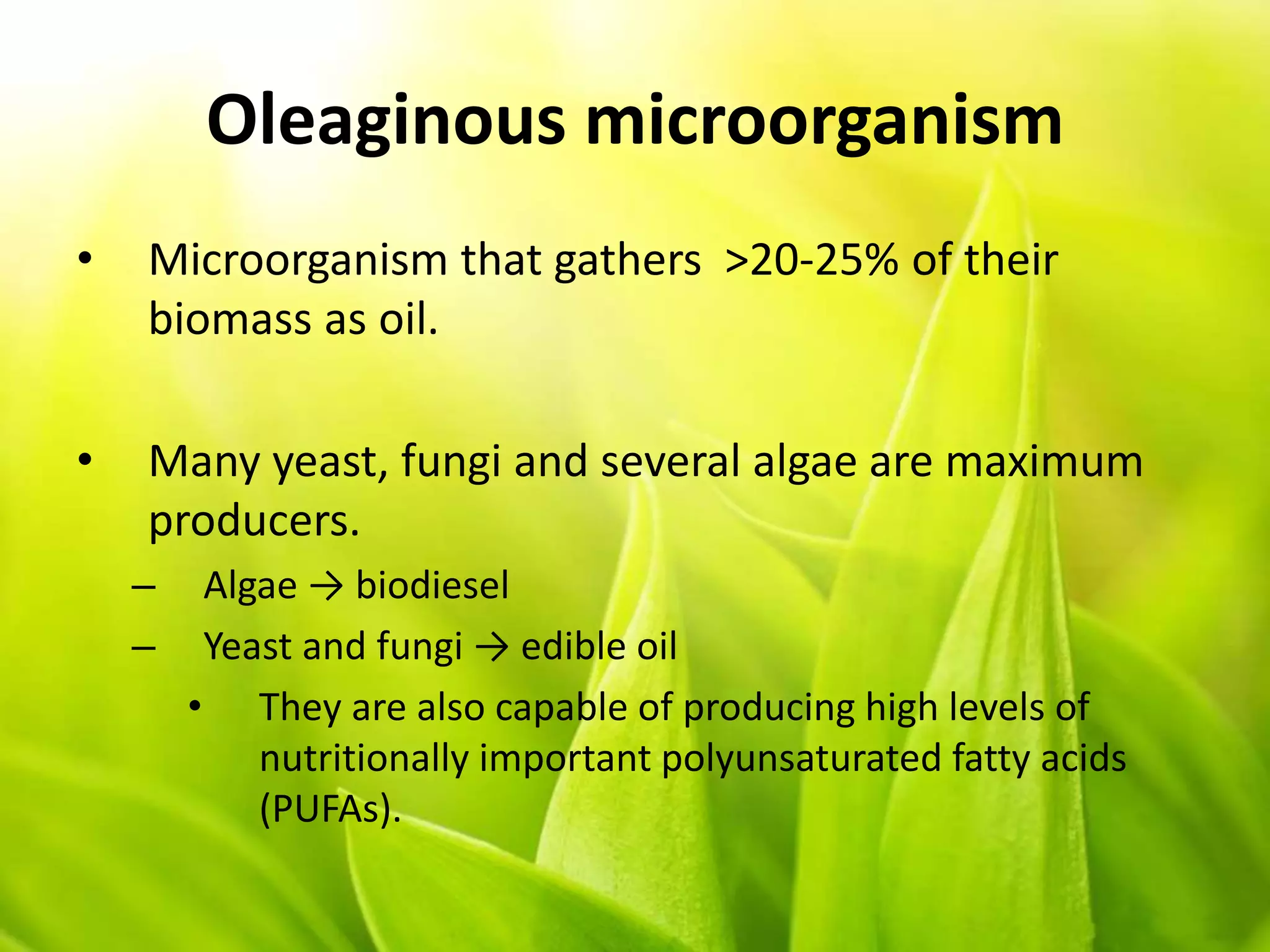 Oleaginous microorganism
• Microorganism that gathers >20-25% of their
biomass as oil.
• Many yeast, fungi and several algae are maximum
producers.
– Algae → biodiesel
– Yeast and fungi → edible oil
• They are also capable of producing high levels of
nutritionally important polyunsaturated fatty acids
(PUFAs).
 
