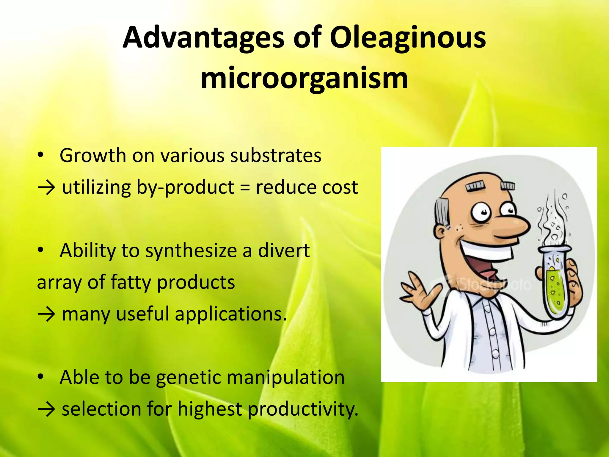 Advantages of Oleaginous
microorganism
• Growth on various substrates
→ utilizing by-product = reduce cost
• Ability to synthesize a divert
array of fatty products
→ many useful applications.
• Able to be genetic manipulation
→ selection for highest productivity.
 