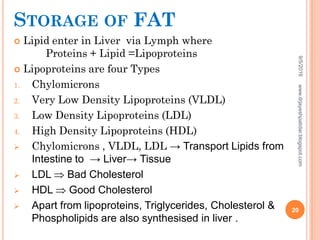 STORAGE OF FAT
 Lipid enter in Liver via Lymph where
Proteins + Lipid =Lipoproteins
 Lipoproteins are four Types
1. Chylomicrons
2. Very Low Density Lipoproteins (VLDL)
3. Low Density Lipoproteins (LDL)
4. High Density Lipoproteins (HDL)
 Chylomicrons , VLDL, LDL → Transport Lipids from
Intestine to → Liver→ Tissue
 LDL  Bad Cholesterol
 HDL  Good Cholesterol
 Apart from lipoproteins, Triglycerides, Cholesterol &
Phospholipids are also synthesised in liver .
9/5/2016
20
www.drjayeshpatidar.blogspot.com
 