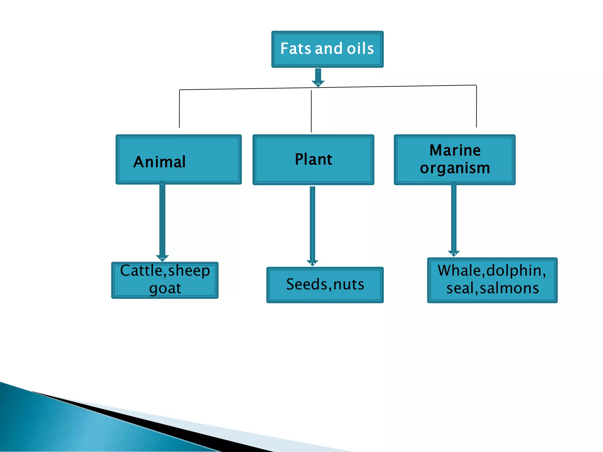 Fats n oils structure and properties | PDF