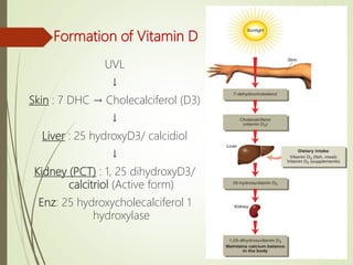 Formation of Vitamin D
UVL
↓
Skin : 7 DHC → Cholecalciferol (D3)
↓
Liver : 25 hydroxyD3/ calcidiol
↓
Kidney (PCT) : 1, 25 dihydroxyD3/
calcitriol (Active form)
Enz: 25 hydroxycholecalciferol 1
hydroxylase
 