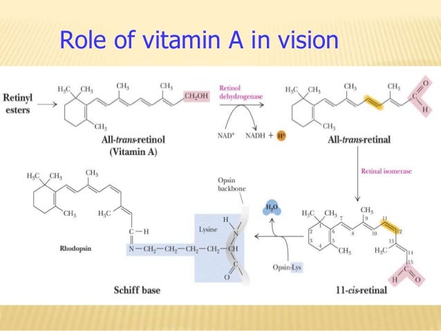 Fat soluble vitamins night blindness symptoms diagram 