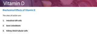 Vitamin D
Biochemical Effects of Vitamin D
The sites of action are:
1. intestinal villi cells
2. bone osteoblasts
3. kidney distal tubular cells
 