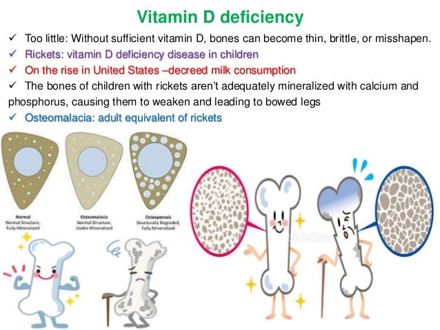 Fat Soluble Vitamins Structure Rda Functions Sources
