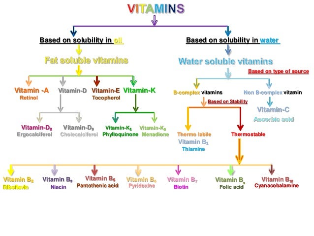 Fat Soluble Vitamins Structure Rda Functions Sources