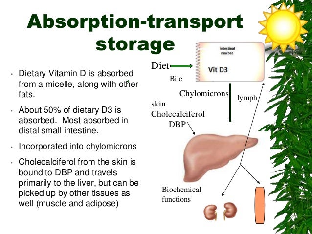 Fat-soluble Nutrients Are Absorbed Into The Fat soluble vitamins for MBBS,BDS students