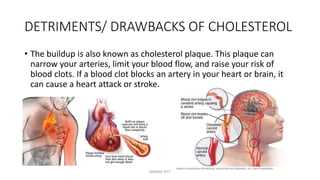 DETRIMENTS/ DRAWBACKS OF CHOLESTEROL
• The buildup is also known as cholesterol plaque. This plaque can
narrow your arteries, limit your blood flow, and raise your risk of
blood clots. If a blood clot blocks an artery in your heart or brain, it
can cause a heart attack or stroke.
MAXINE PITT
 