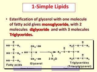 1-Simple Lipids
• Esterification of glycerol with one molecule
of fatty acid gives monoglyceride, with 2
molecules diglyce...
