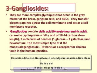 3-Gangliosides:
• They are more complex glycolipids that occur in the gray
matter of the brain, ganglion cells, and RBCs. ...