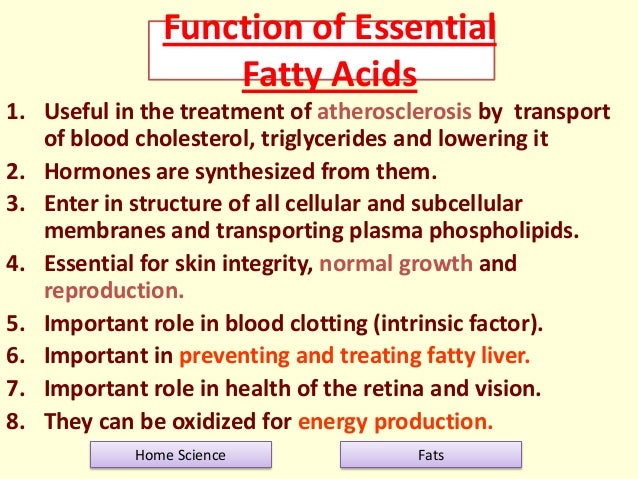 fats fatty acid function