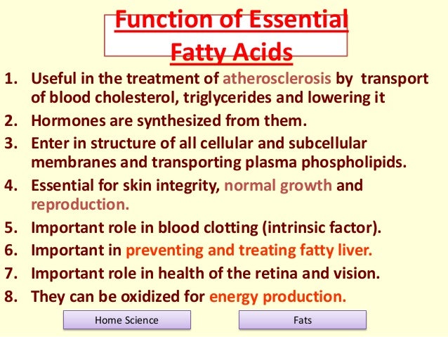 Function Of Unsaturated Fat 95
