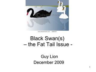 Black Swan(s)  – the Fat Tail Issue - Guy Lion December 2009 