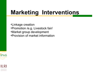 IPMS experience sharing workshop: Cattle fattening group report