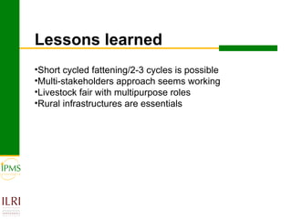 IPMS experience sharing workshop: Cattle fattening group report