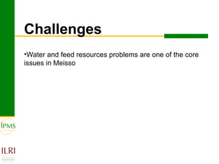 IPMS experience sharing workshop: Cattle fattening group report