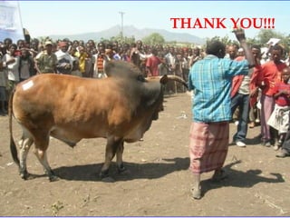 IPMS experience sharing workshop: Cattle fattening group report