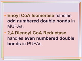 • Enoyl CoA Isomerase handles
odd numbered double bonds in
MUFAs.
• 2,4 Dienoyl CoA Reductase
handles even numbered double
bonds in PUFAs.
 