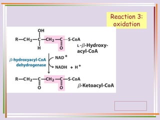 Reaction 3:
oxidation
 