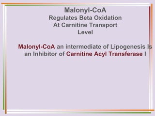 Malonyl-CoA
Regulates Beta Oxidation
At Carnitine Transport
Level
Malonyl-CoA an intermediate of Lipogenesis Is
an Inhibitor of Carnitine Acyl Transferase I
 
