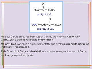 Malonyl-CoA is produced from Acetyl-CoA by the enzyme Acetyl-CoA
Carboxylase during Fatty acid biosynthesis.
Malonyl-CoA (which is a precursor for fatty acid synthesis) inhibits Carnitine
Palmitoyl Transferase I.
This Control of Fatty acid oxidation is exerted mainly at the step of Fatty
acid entry into mitochondria.
H3C C SCoA
O
CH2 C SCoA
O

OOC
acetyl-CoA
malonyl-CoA
 