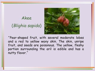 “Pear-shaped fruit, with several moderate lobes
and a red to yellow waxy skin. The skin, unripe
fruit, and seeds are poisonous. The yellow, fleshy
portion surrounding the aril is edible and has a
nutty flavor.”
Akee
(Blighia sapida)
 