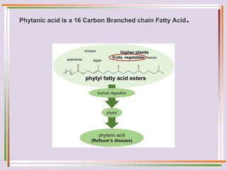 Phytanic acid is a 16 Carbon Branched chain Fatty Acid.
 