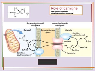 Role of carnitine
 