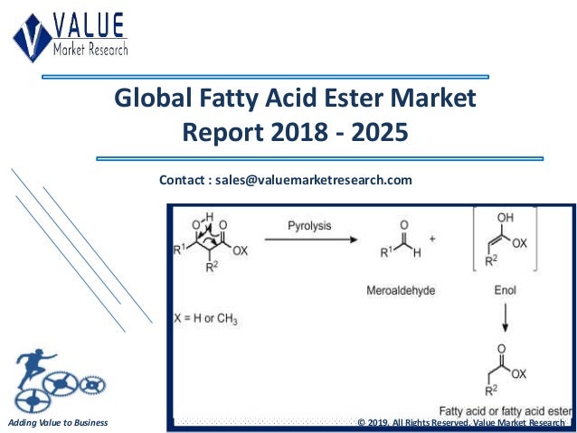 Fatty Acid Ester Market Size Outlook Research Report 2018 2025