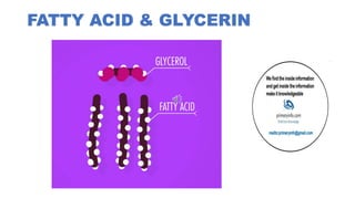 FATTY ACID & GLYCERIN
 
