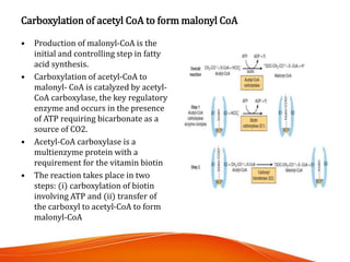 Carboxylation of acetyl CoA to form malonyl CoA
• Production of malonyl-CoA is the
initial and controlling step in fatty
a...