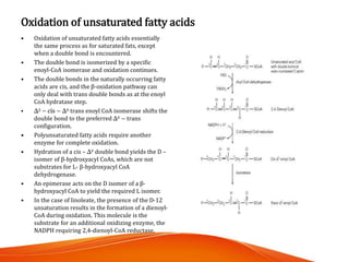 Oxidation of unsaturated fatty acids
• Oxidation of unsaturated fatty acids essentially
the same process as for saturated ...