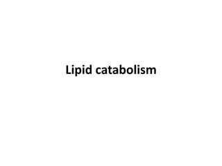 Lipid catabolism
 