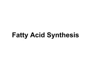Fatty Acid Synthesis
 