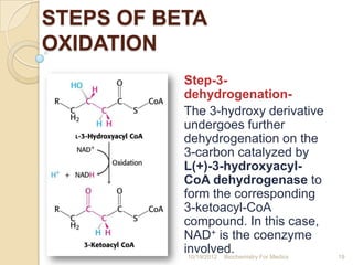 STEPS OF BETA
OXIDATION
           Step-3-
           dehydrogenation-
           The 3-hydroxy derivative
           unde...