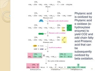 Phytanic acid
                               is oxidized by
                               Phytanic acid
                 ...