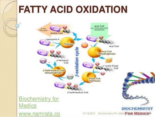 Oxidation Fat 95