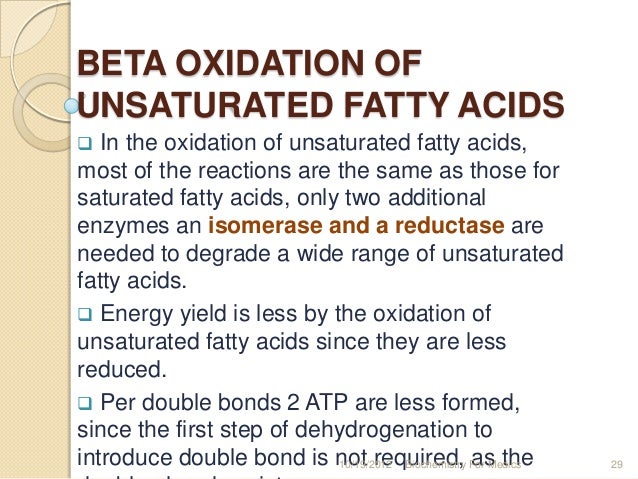 Natural supplements to speed up weight loss photo 5