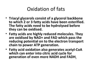 Oxidation of fats
• Triacyl glycerols consist of a glycerol backbone
to which 2 or 3 fatty acids have been esterified.
The fatty acids need to be hydrolysed before
they can be oxidised.
• Fatty acids are highly reduced molecules. They
are oxidised by NAD+ and FAD which pass the
reducing potential on to the electron transport
chain to power ATP generation.
• Fatty acid oxidation also generates acetyl-CoA
which can enter into citric acid cycle for
generation of even more NADH and FADH2
 