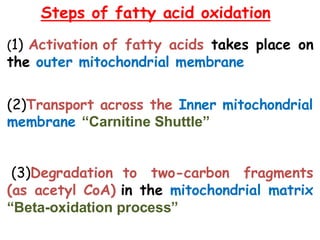 Fatty acid oxidation and lipolysis 2025 copy.pdf