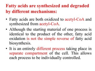 Fatty acid oxidation and lipolysis 2025 copy.pdf