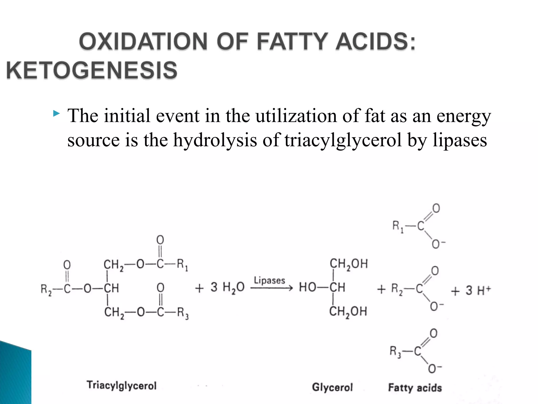 Fatty acid oxidation & ketone bodies | PPT