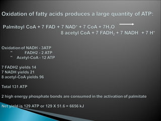 Fatty acid oxidation & ketone bodies | PPT